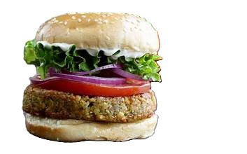 Vegetal Falafel - Best burger in Palamós